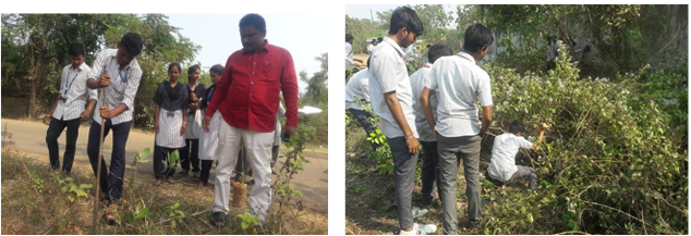 Prof. M. James Stephen